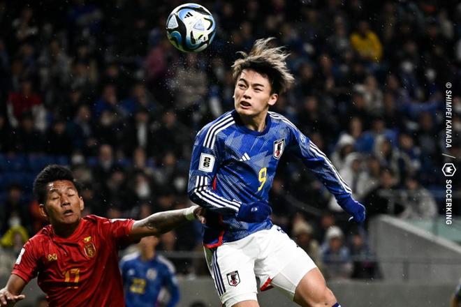 的优质市场 的优质市场