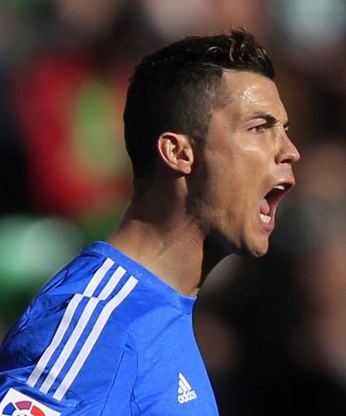 乐天偶尔会 乐天偶尔会